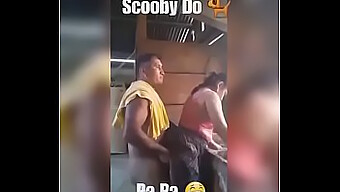 Scoby'S Se...