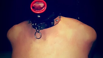 Bdsm Session With A Mask-Wearing Slut