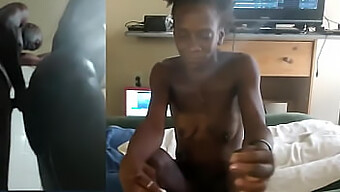 Ægte Sex Med Afrikanske Amatører I Hjemmelavet Porno