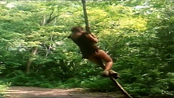 Tarzan Vin...